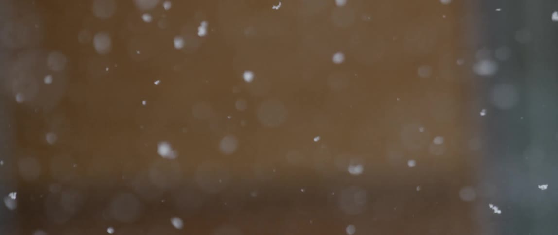 Snow flakes falling onto the ground