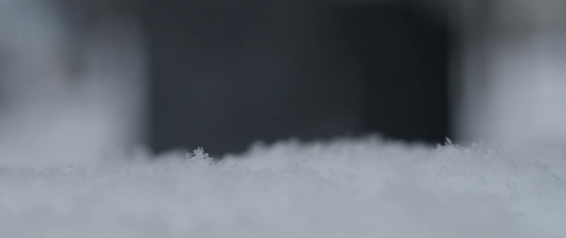 Snowflakes fall and settle on a layer of snow