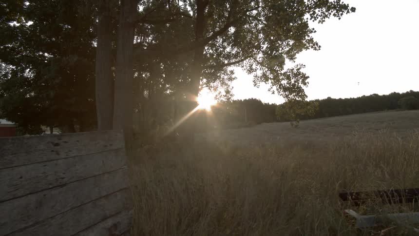 The sun sets over a rural field and trees