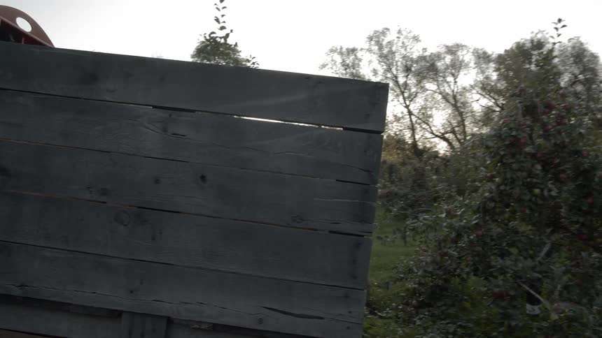 A forklift carrying wood pallets sits in a field