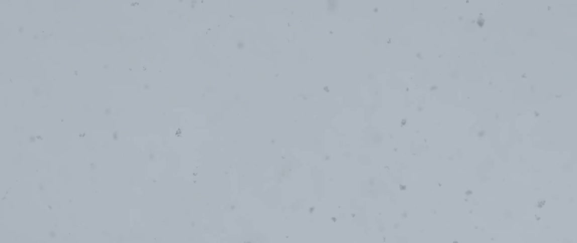 Snowflakes falling with white in the background
