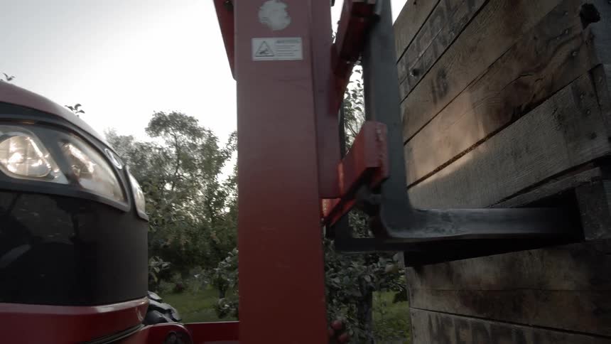 A forklift lifts a container at a fruit orchard