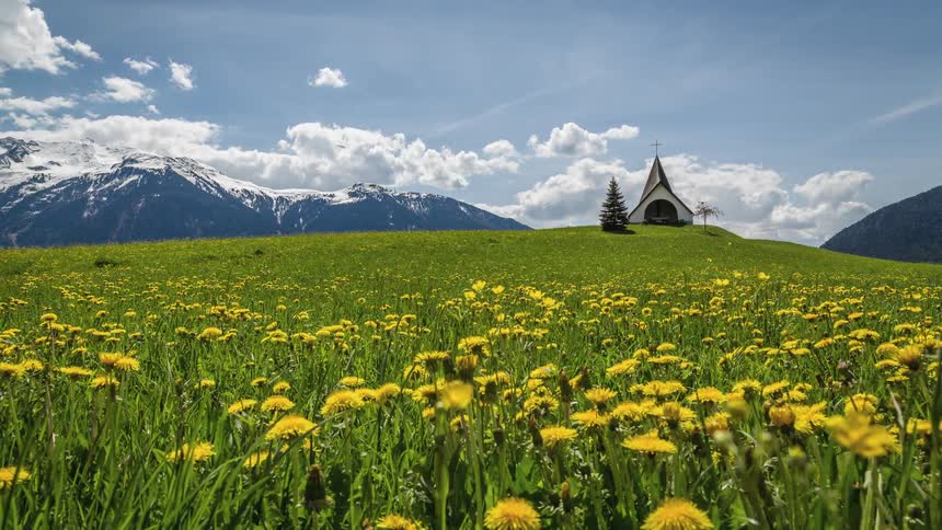 A field of dandelions and rolling white clouds