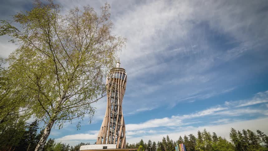 A tower stretches above a forest