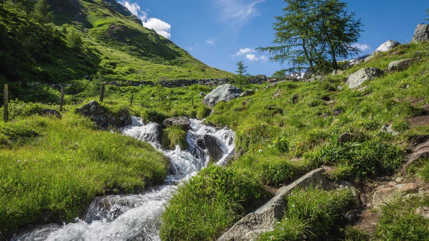 A stream with grass and trees with the sky in the background