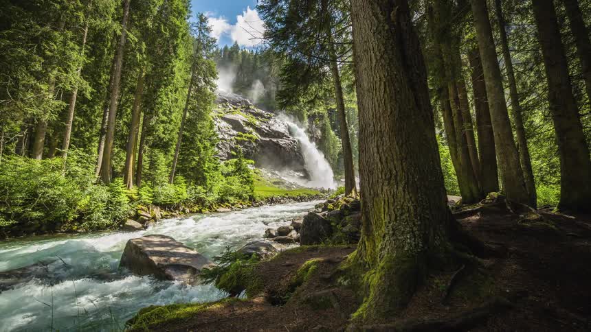 A waterfall empties into a river that runs through a thick forest