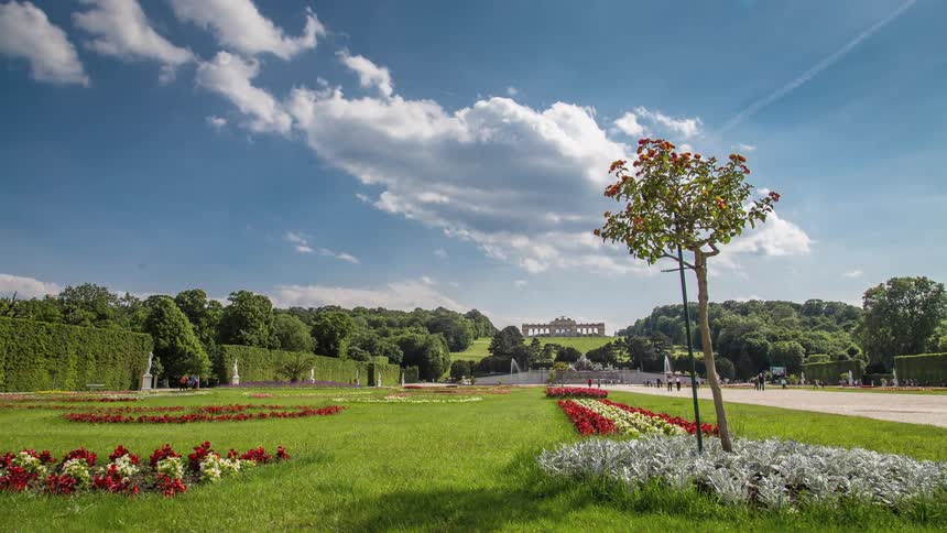 Crowds of people walk across a park