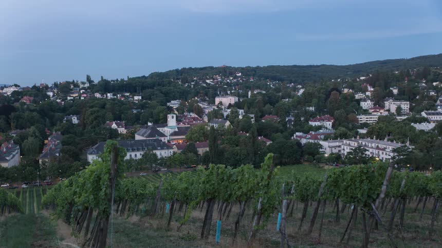 A vineyard above a hillside village