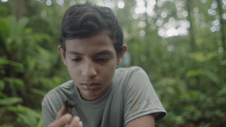 A child examines a bug they are holding in the woods