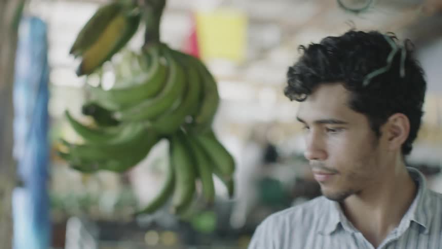 Male picking out fruit at farmers market