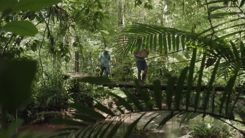 Two men are walking over a bridge in the jungle