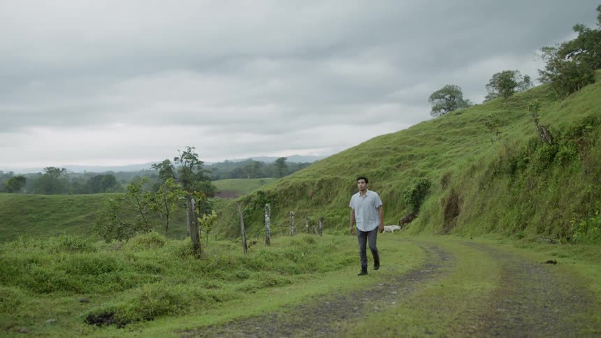 A man walks down a dirt path running through lush green hills