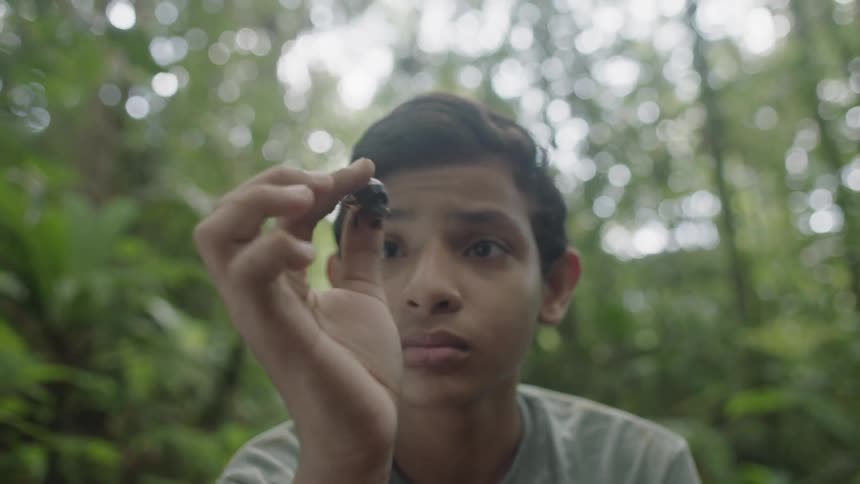 A young boy in the forest examines a black bug between his fingers