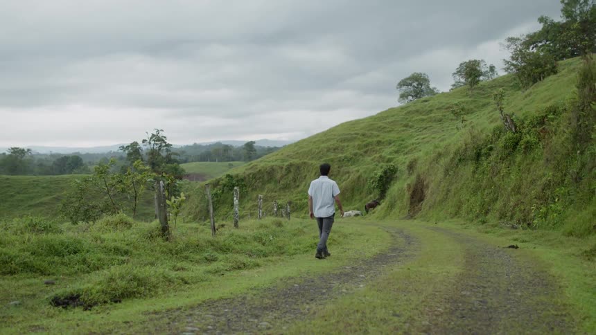 A man walking down a gravel and grass road surrounded by foliage