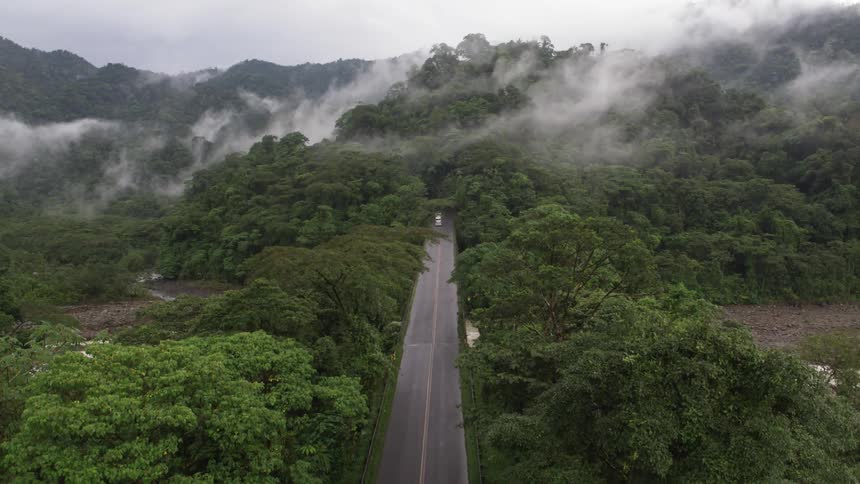 A tree lined road leads to a fog covered slope and ridge