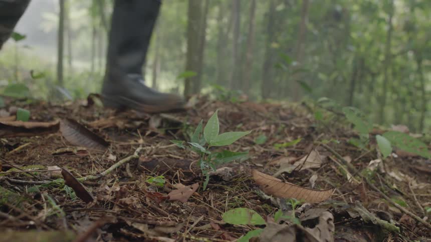 Three men in camouflage run through the woods