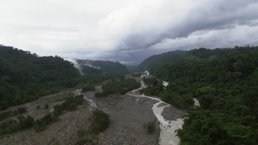 Trees are covering the hillside next to a small river