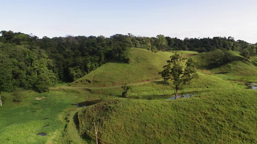 River cuts through rolling hill near forest