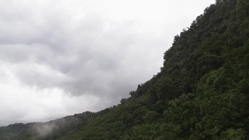 A mountain ridge covered in dense forest