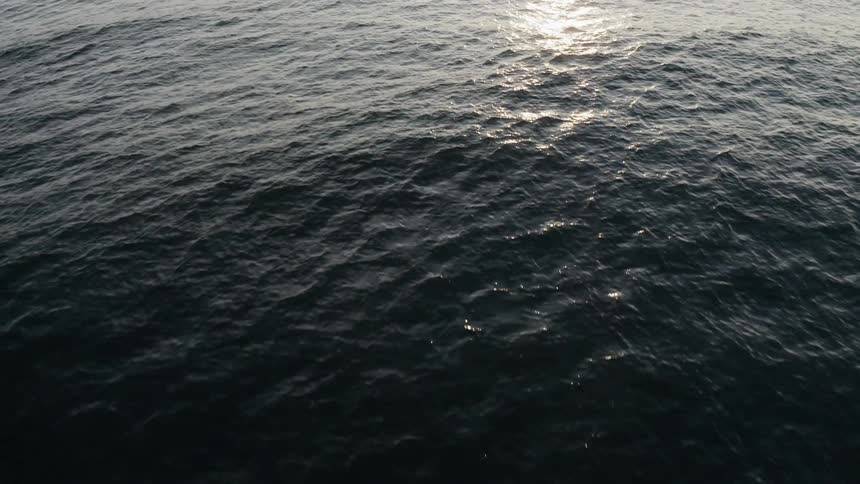 Waves and ripples are seen rolling along the surface of the ocean as a handful of surfers can be seen sitting on their boards