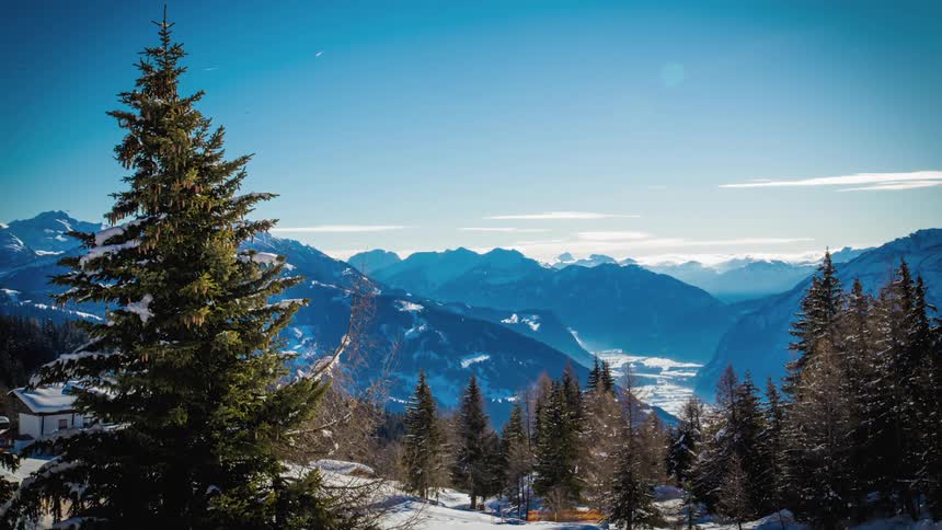 People walk in snowy mountains with pine trees