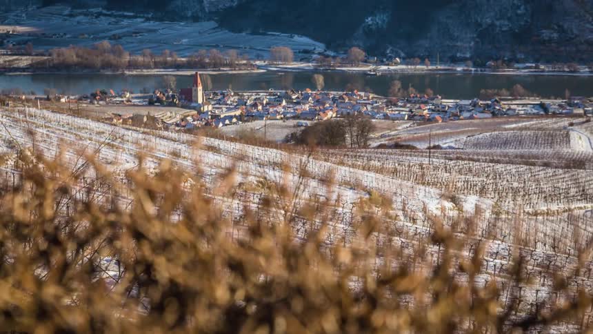 Vineyard sits on a snowy slope near a village