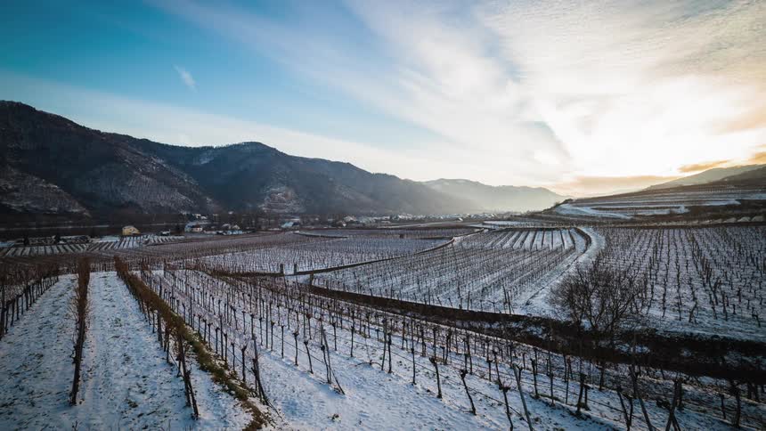 A vineyard at wintertime with the mountains and the sky in the background