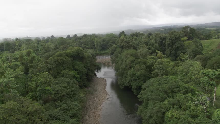 An aerial view of a river flowing through dense trees