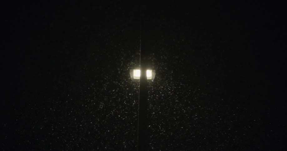 Snowflakes swirl around a light standard