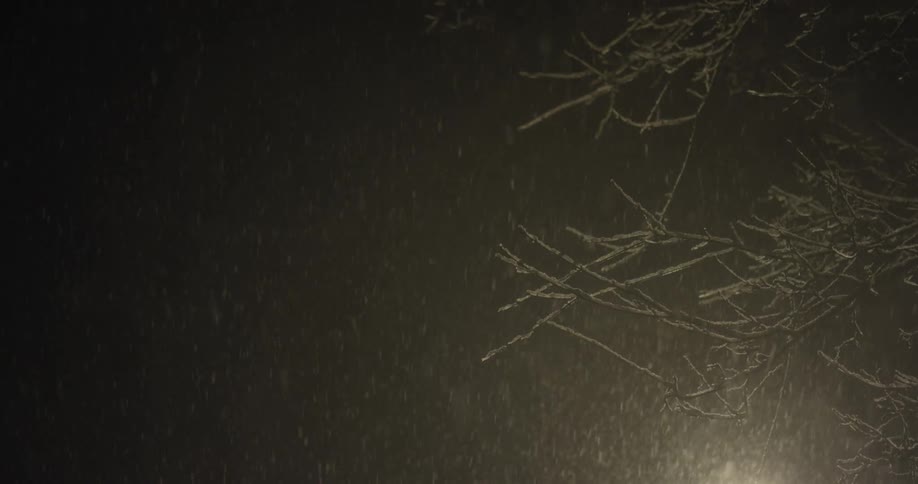 Snow is falling among the leaves outdoors