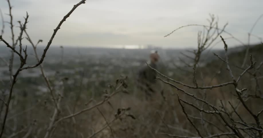 Through the leafless stems of a bush a bald man can be seen hiking up a hillside above a sprawling city