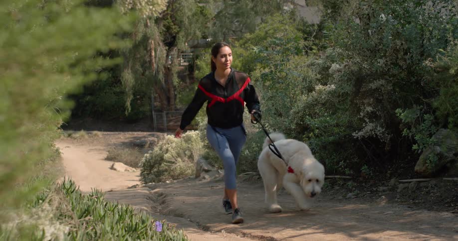 An asian female walks a large white dog on a leash up an inclined trail at a park