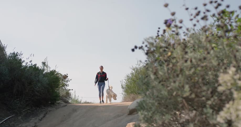 A young woman is walking her dog along a hilly dirt road during the day