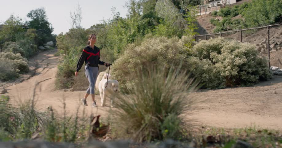 A woman is briskly walking with her large white dog along a dirt trail between residential properties