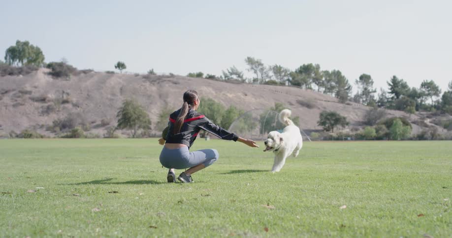 Woman plays with her dog in a field of grass