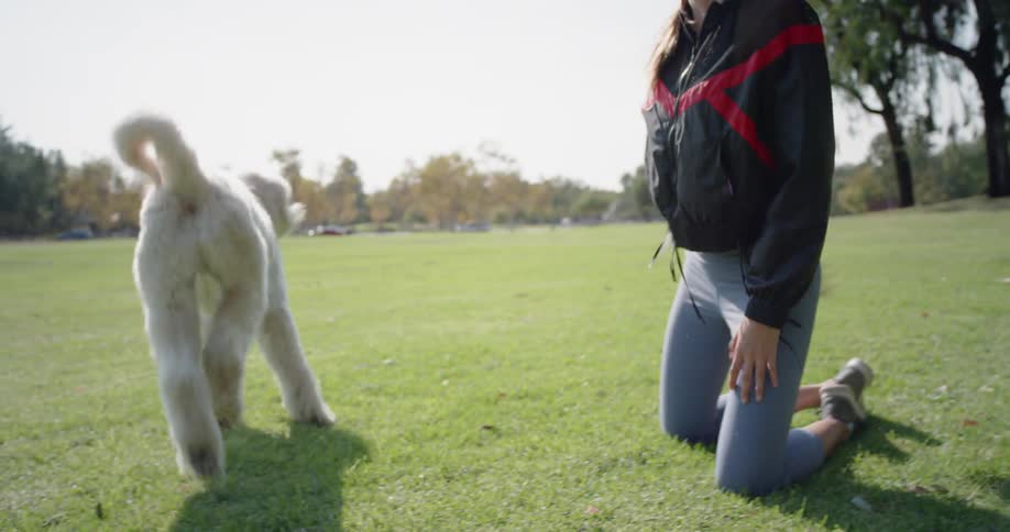 A woman plays with a white dog on a grassy lawn