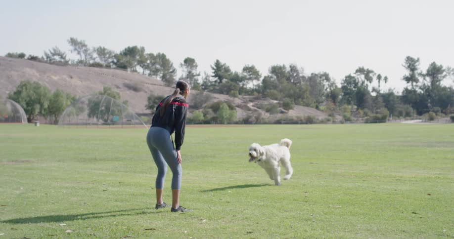 A dog running to a woman