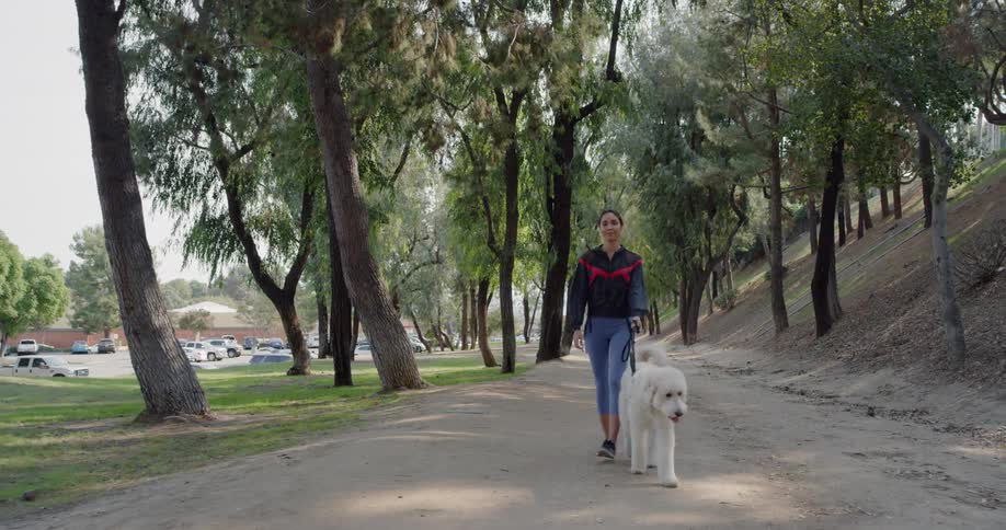 A woman walks her dog along a path