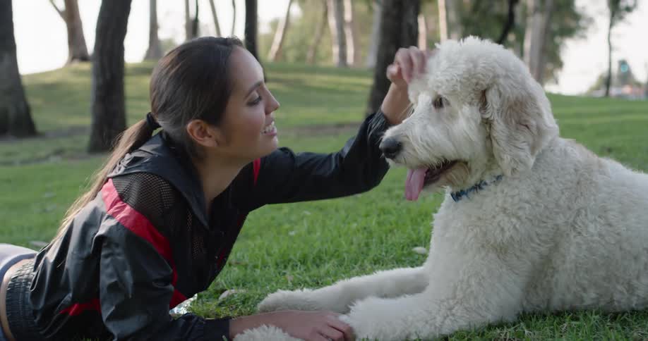 A female with long dark hair and a large fluffy white dog lay in the grass facing one another at a park