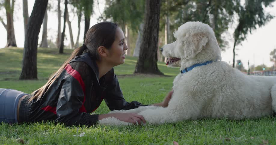 Woman lies down on the grass and pets the white dog during daylight