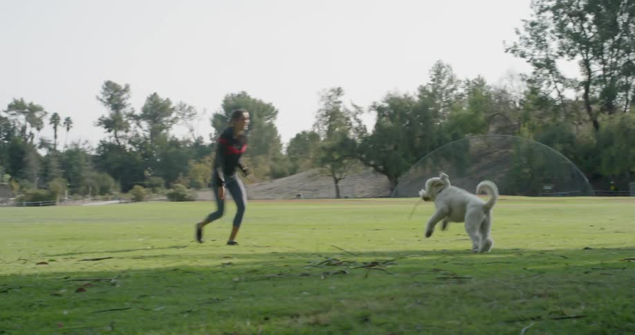 A woman is playing with her dog on a grass field