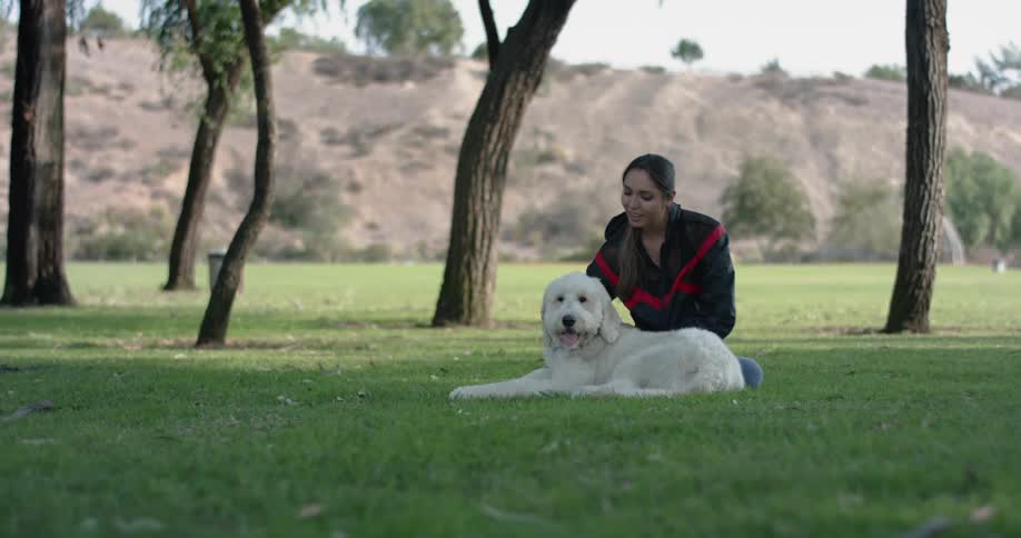 A woman is petting her big white dog while they sit together in the grass among the trees in the park