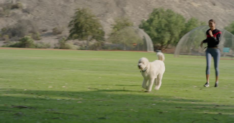 A woman and dog play in a park near hill