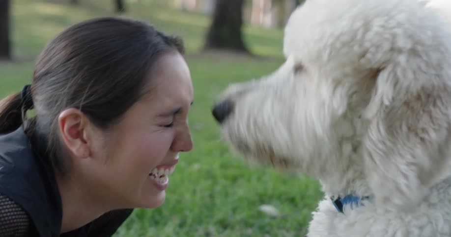 A large blonde dog licks the face of its owner in the park in daylight