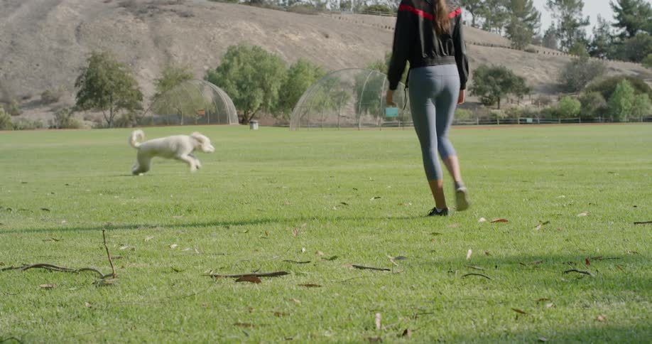 Woman wearing tights throws stick for the dog to fetch on the lawn during daylight