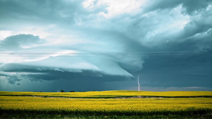 Lightning flashes across a field