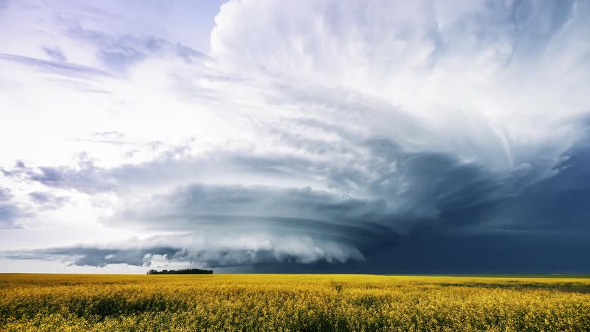 Timelapse of a storm developing over a yellow flowered plain