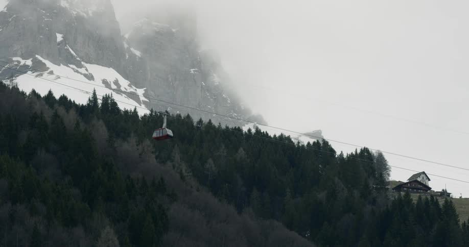 A ski lift glides above a forest of fir trees