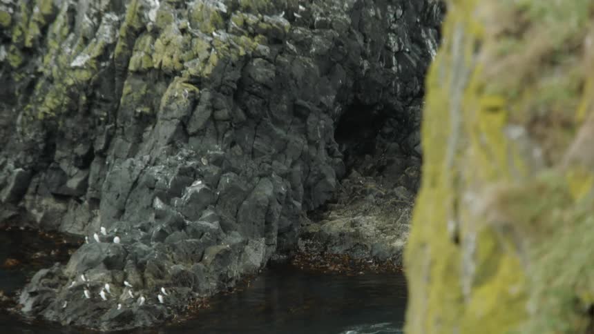 Birds fly around and sit on the bottom of a promontory in the ocean