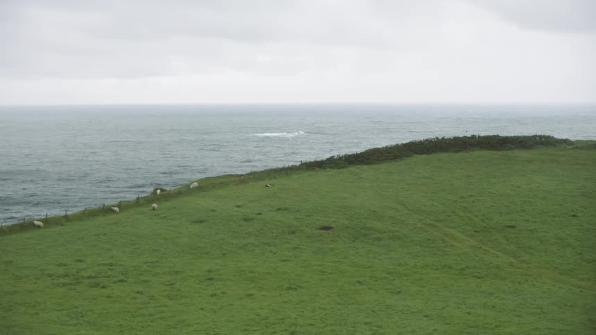 A lush green field overlooks the ocean water